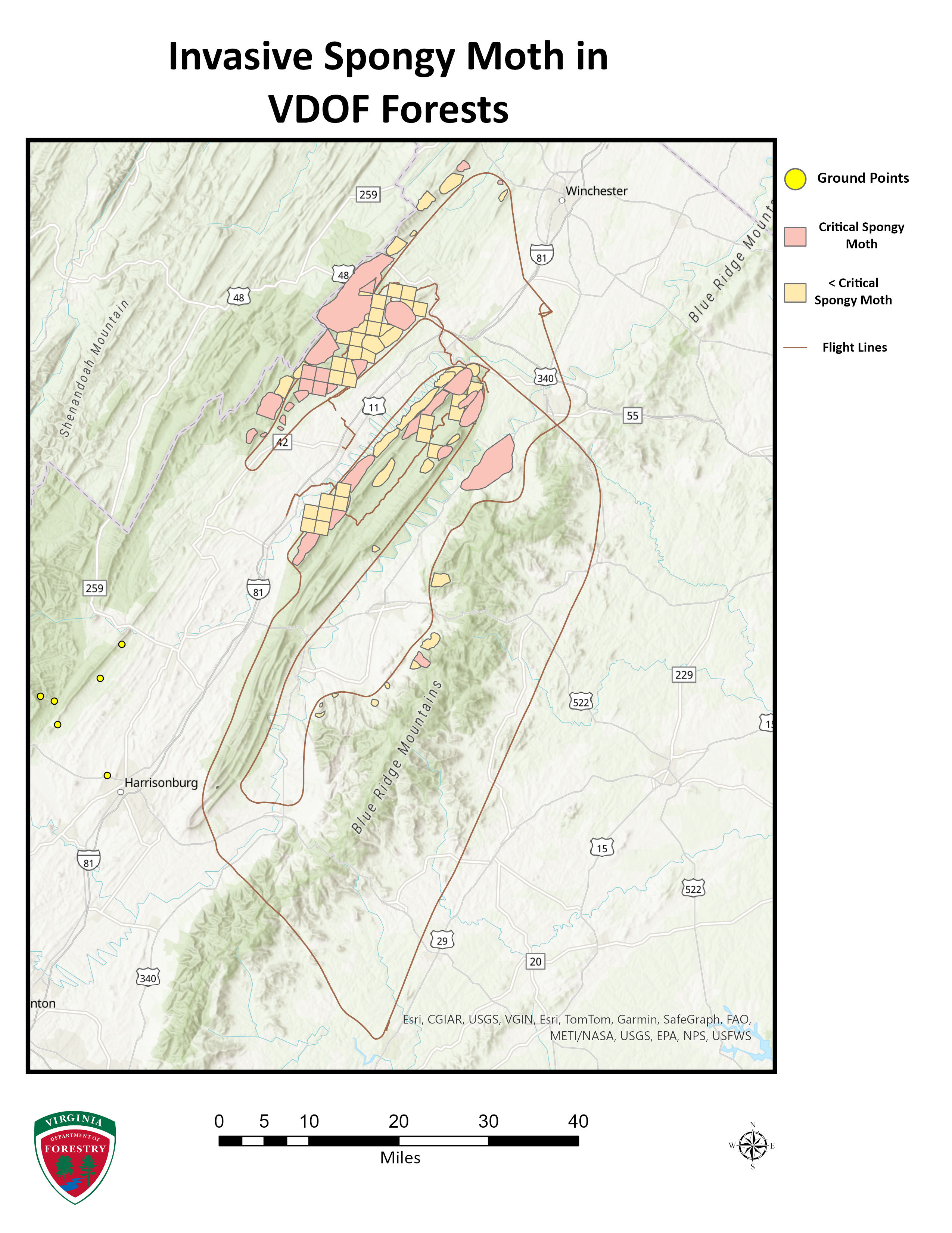 VDOF Spongy Moth Map